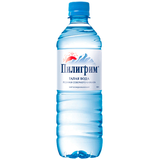 Вода "Пилигрим" 0.5 литра, без газа, пэт, 12 шт. в уп.