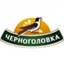 Черноголовка